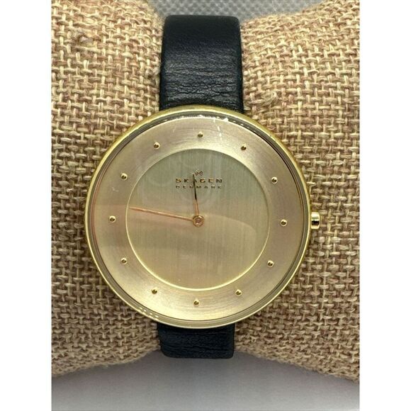 Skagen Ditte SKW2262 Women\'s Black Leather Analog Dial Quartz Wrist Watch JNA986 main image 4
